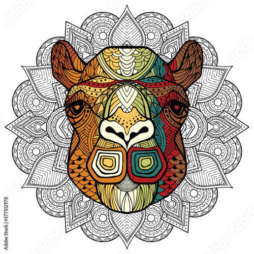 Camel head in detailed style. Zentangle camel. Vector pattern for tribal design. Geometric Ethnic motif with rhombus, triangles. Graphic style. Camel for print, web, textile, wrapping paper.