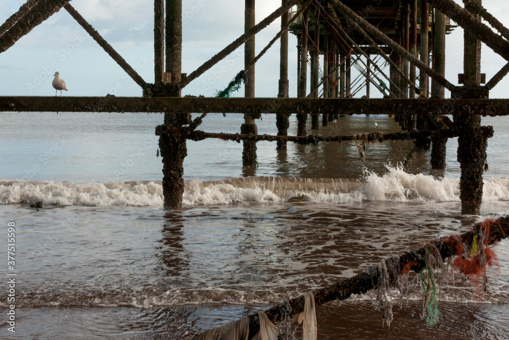 Underneath the pier at low tide: Teignmouth, Devon, UK