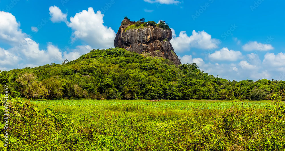 The rock fortress of Sigiriya protrudes above the jungle canopy in Sri Lanka
