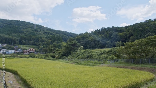 A view of a Japanese village on a sunny day in the middle of summer