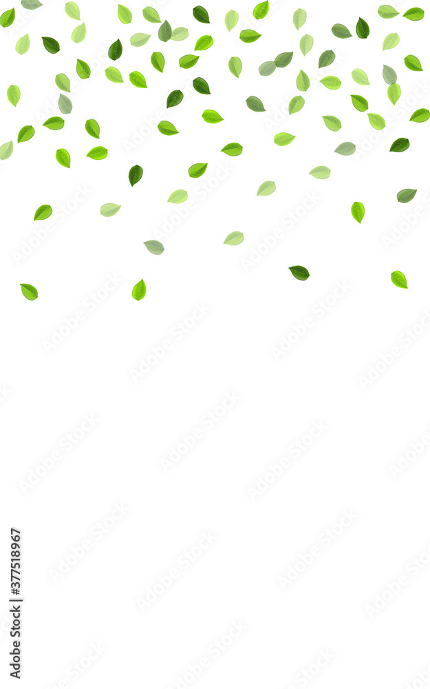 Green Leaf Herbal Vector Branch. Realistic Greens Green Leaf Herbal Vector Branch. Realistic Greens