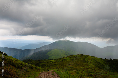 Rain in the Carpathian mountains