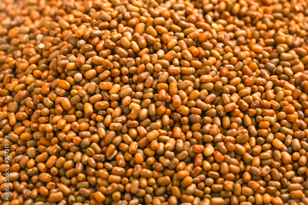 moth beans or matki beans in wooden bowl moth beans or matki beans in wooden bowl