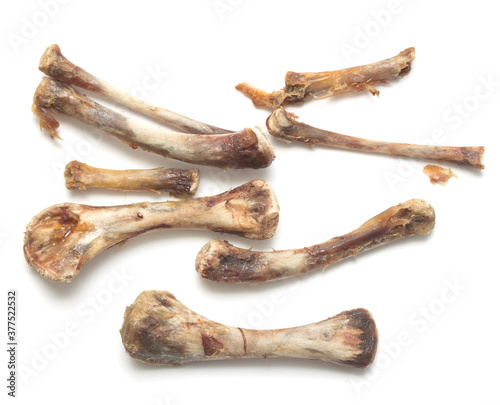 animal bones on white background