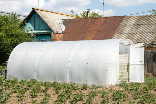 greenhouse in the garden summer