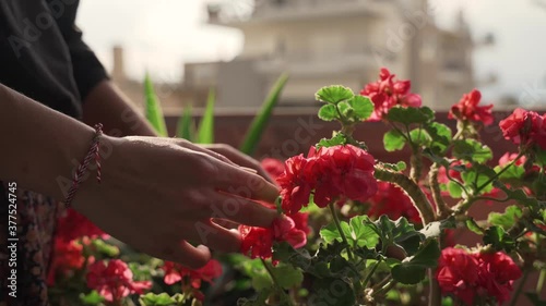 Young woman feeling red flowers with her hands