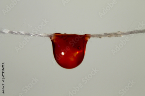 red and white drops of water on a thread