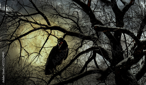 Creepy black crow croaking in scary forest on full moon night