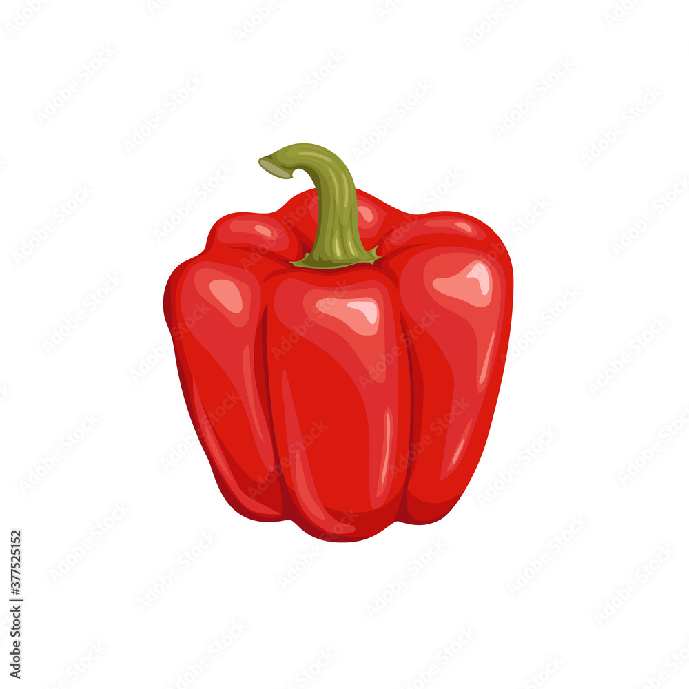 Fresh red bell pepper. Cartoon flat style icon. Paprika vector illustration. Vegetarian farm fresh product. Best for education or market designs. Isolated on white background. Fresh red bell pepper. Cartoon flat style icon. Paprika vector illustration. Vegetarian farm fresh product. Best for education or market designs. Isolated on white background.