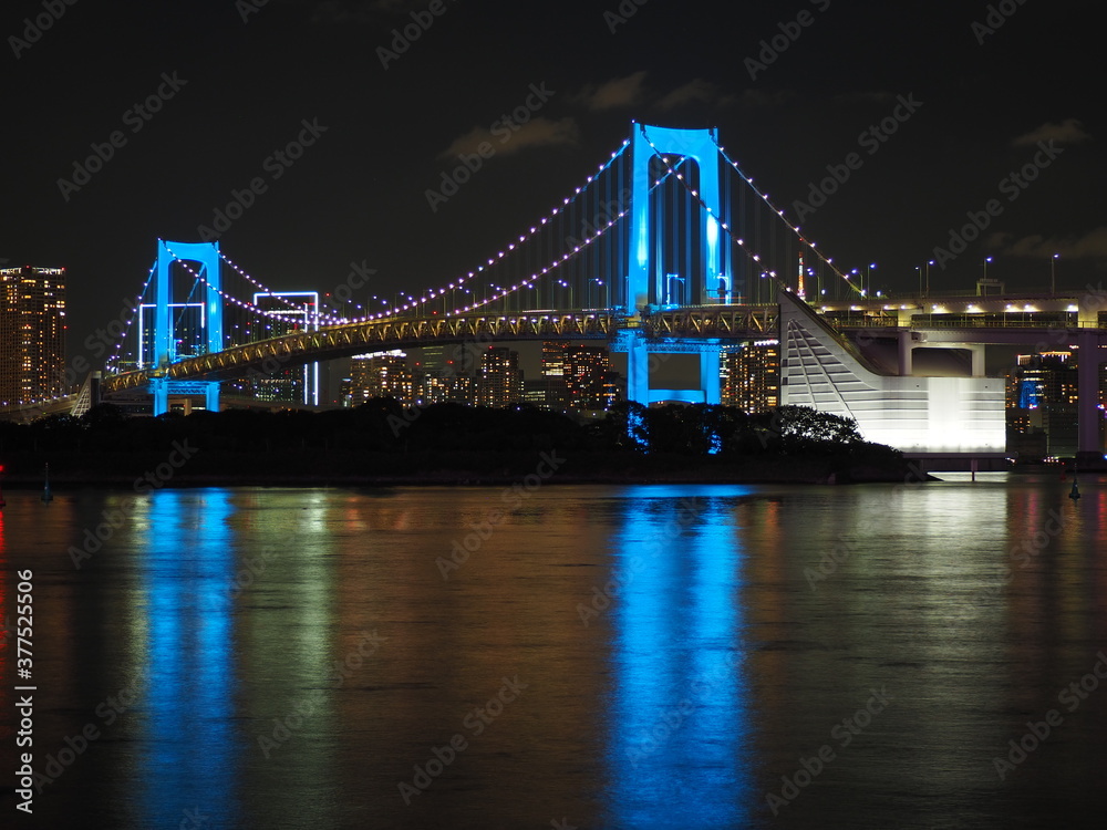 Fototapeta premium 橋のある夜景