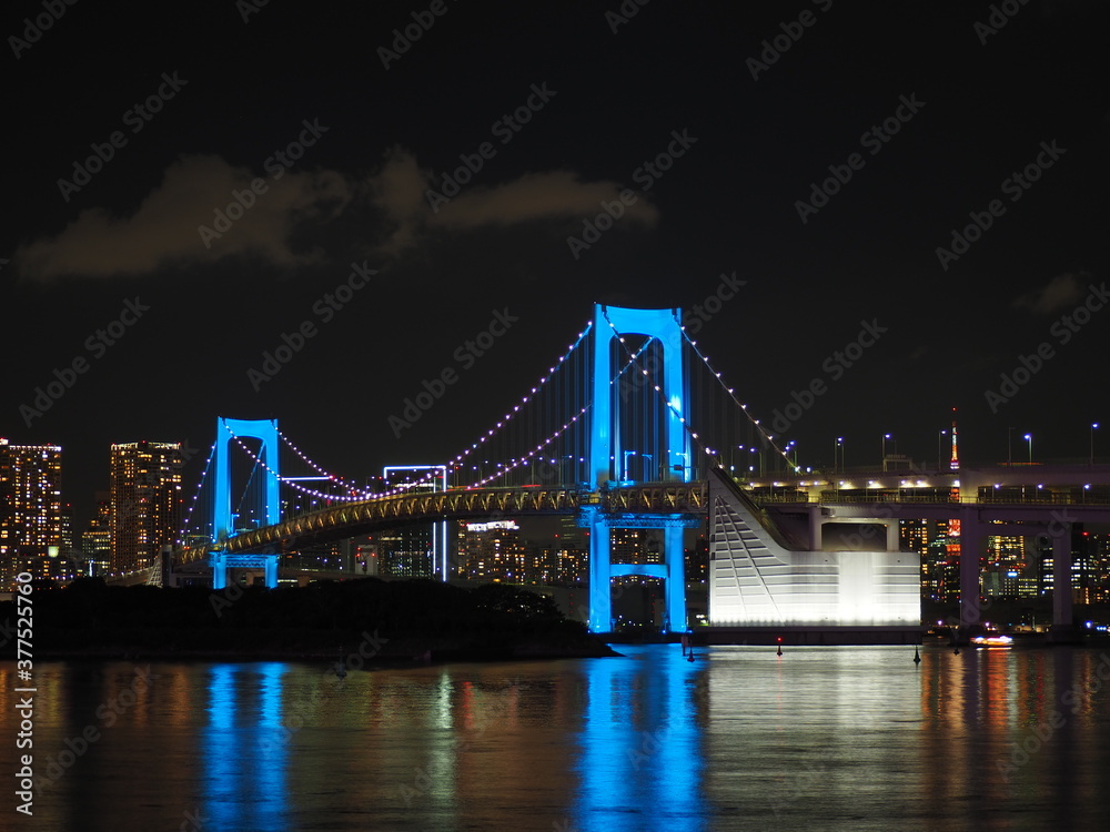 Fototapeta premium 橋のある夜景