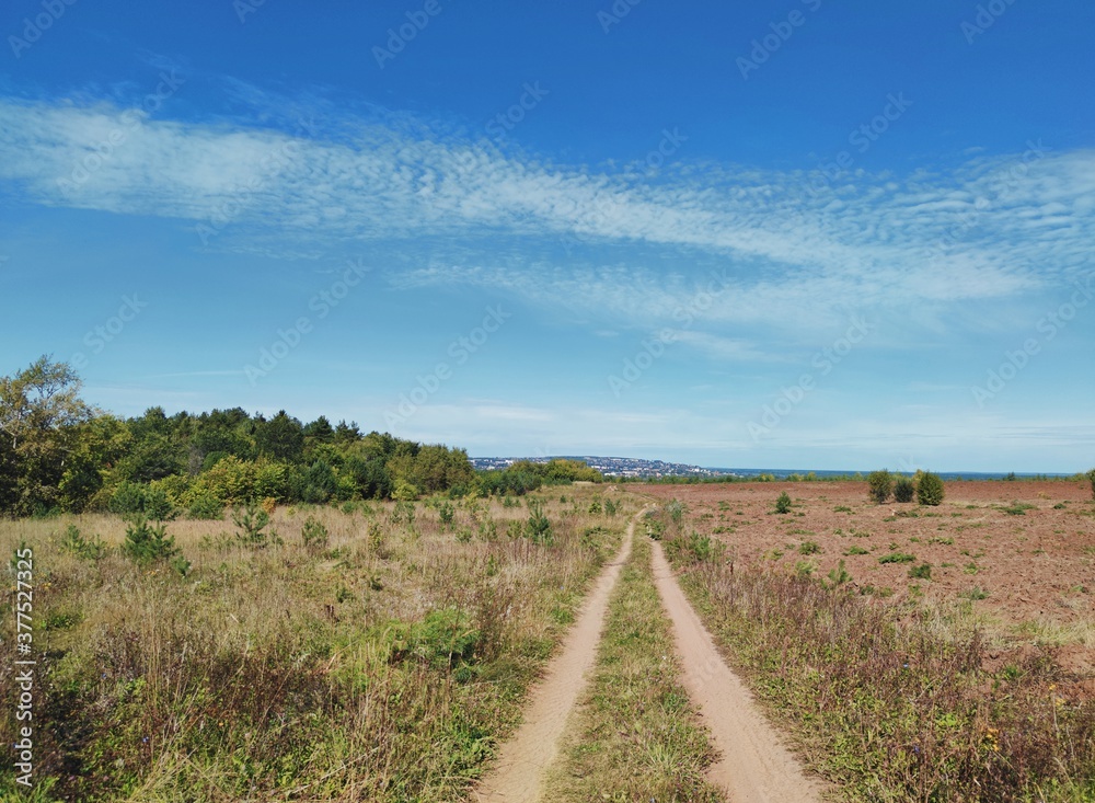 country road in the field against the background of a beautiful blue sky with clouds