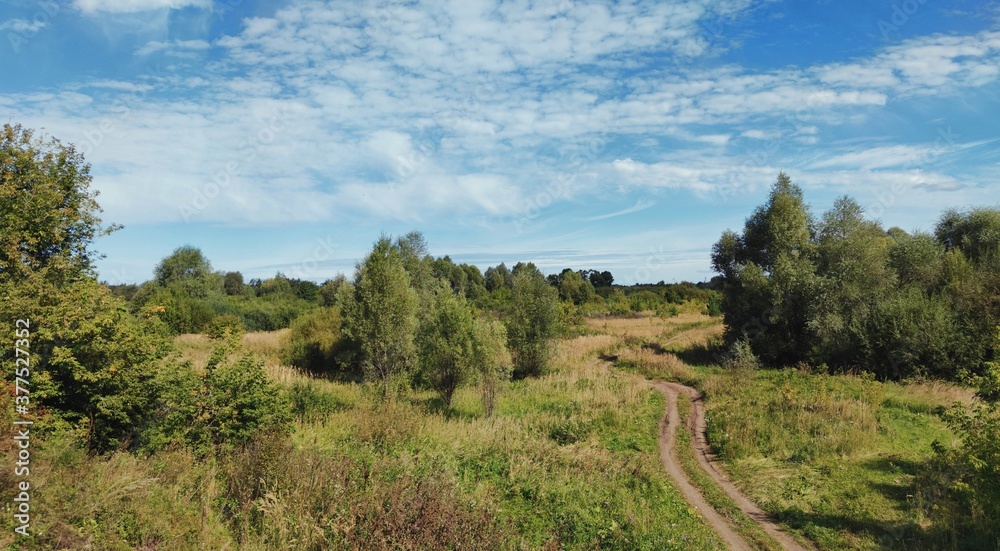 panoramic landscape with a winding country road in a field among trees on a sunny day against a blue sky with clouds