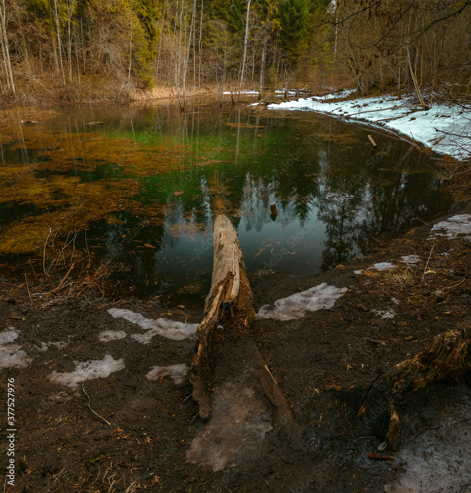 Beautiful forest geyser lake with clear turquoise water and stains on the bottom in a forest Beautiful forest geyser lake with clear turquoise water and stains on the bottom in a forest