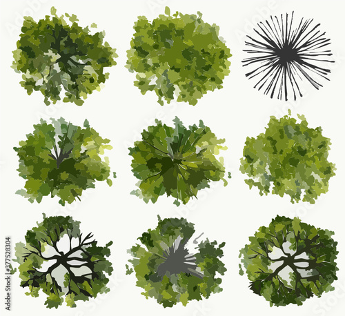 Vector collection of green trees top view for landscape plan and architecture drawing,element for garden and environment