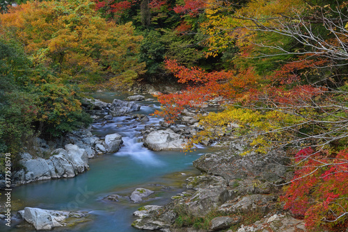秋の赤西渓谷