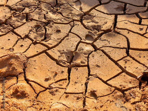 Cracks on the surface of the earth are altered by the shrinkage of mud due to drought conditions of the terrain.