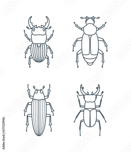 Wallpaper Mural Set of outline beetle icons Torontodigital.ca
