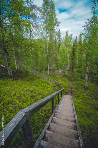 bridge on a hiking path in Finland