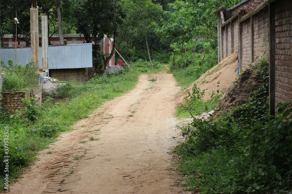 Fototapeta premium road in the village