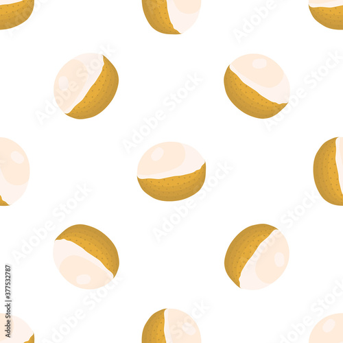 Illustration on theme big colored seamless longan