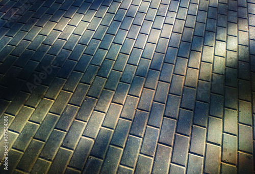 Shadows on park pavement background