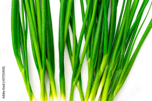 Stems of green onions on a white background. Isolated.