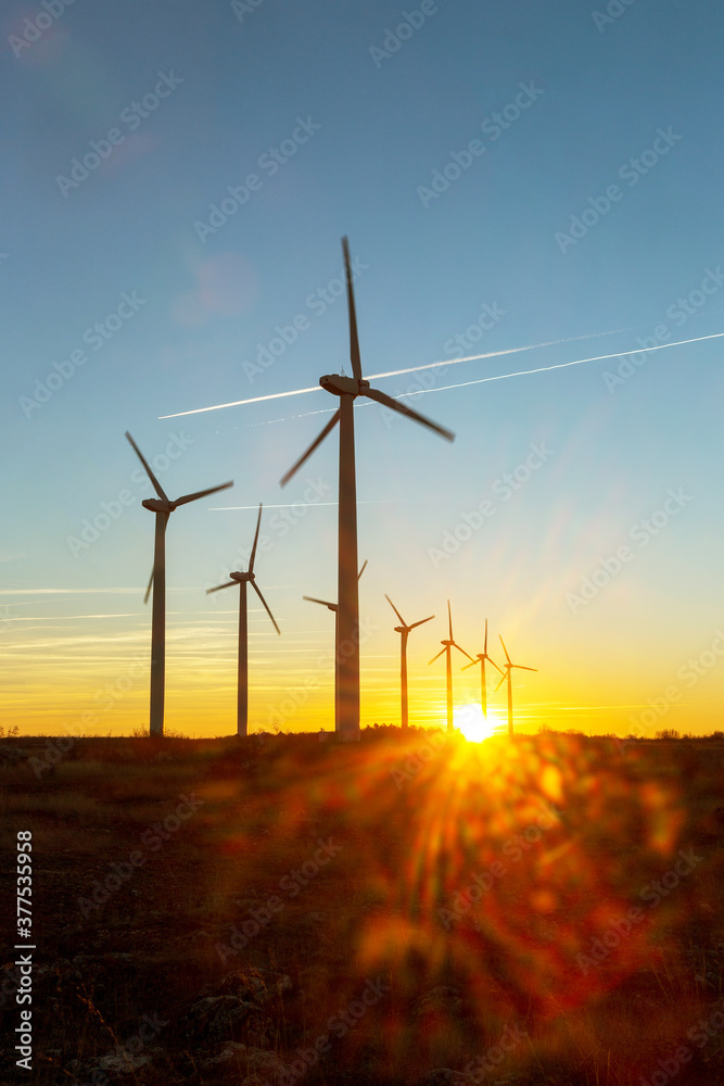 Obraz premium Wind Turbines at Dusk. Landscape sunset with windmills. Renewal source of electricity. Wind turbines field new technology for clean energy on mountain, sunset view with colorful twilight on sky
