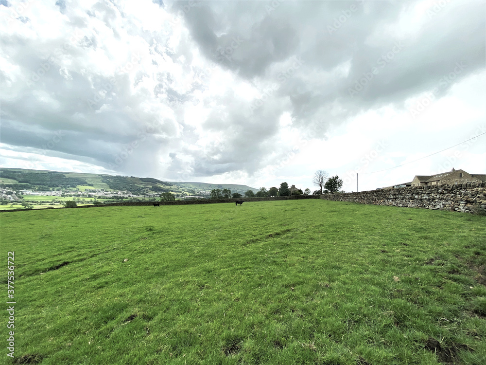 Extensive landscape, with a meadow, houses, trees, and heavy rain clouds near, Silsden, Keighley, UK
