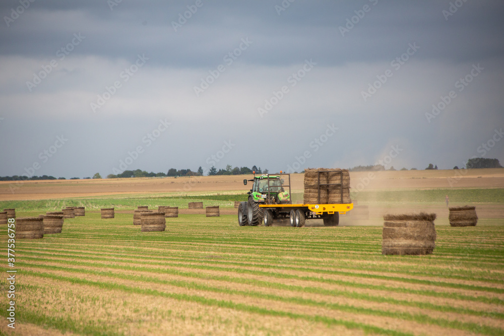 Obraz premium récolte