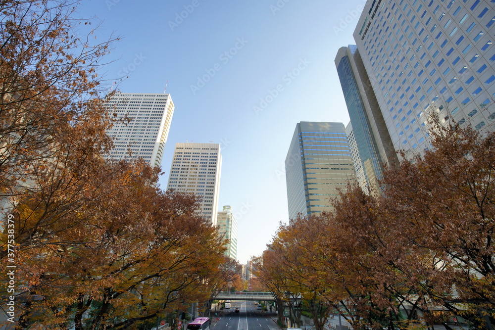 Obraz premium 新宿の高層ビル