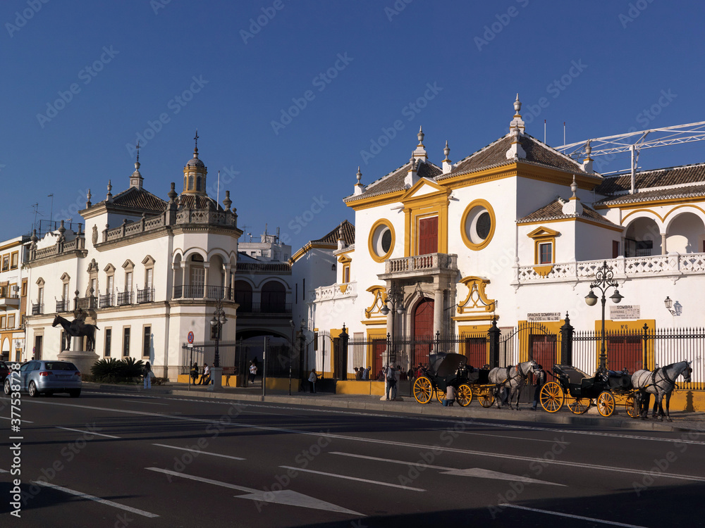 Plaza de toros y caballeria de la Real Maestranza de Sevilla