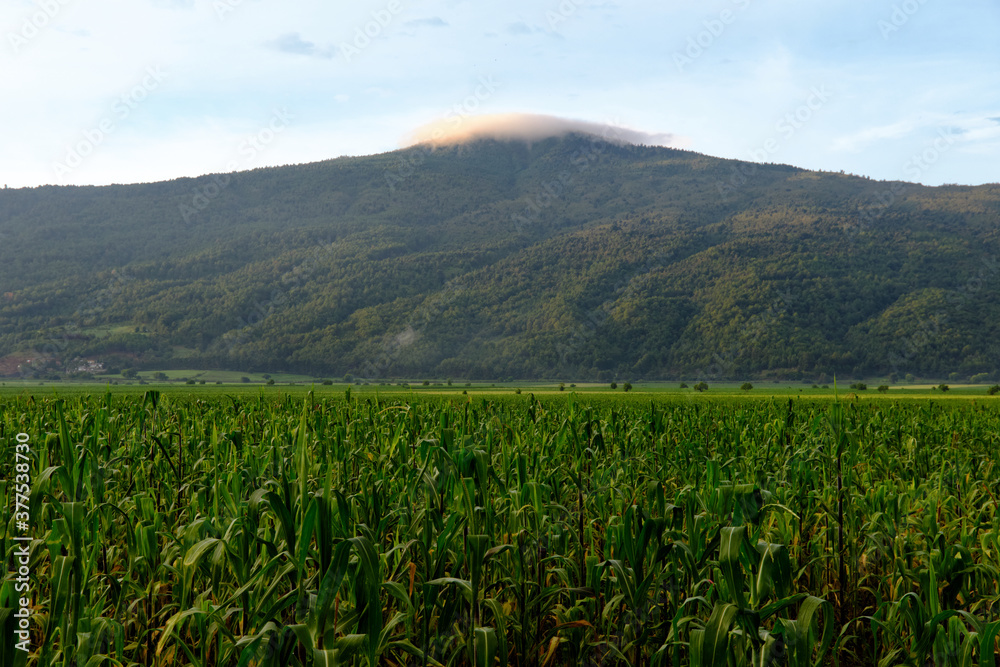 Paisajes de montaña 