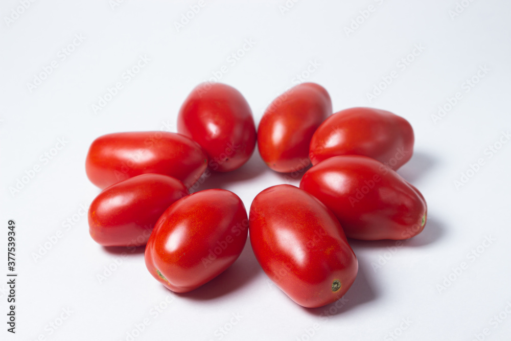 Tomatoes on a white background. Red tomatoes lie in the shape of a circle Tomatoes on a white background. Red tomatoes lie in the shape of a circle