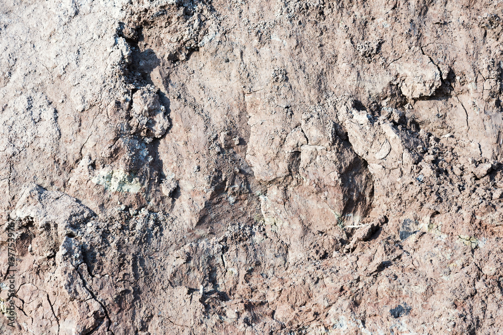 Background of mountain landslide in an environmentally hazardous area. Large cracks in the ground, the descent of soil layers, coquina. Deadly risk of coastal collapse Background of mountain landslide in an environmentally hazardous area. Large cracks in the ground, the descent of soil layers, coquina. Deadly risk of coastal collapse