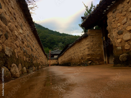 Rural Korean Town Path
