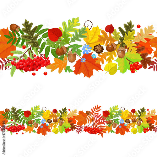 colorful seamless borders with autumn leaves and little blue flo