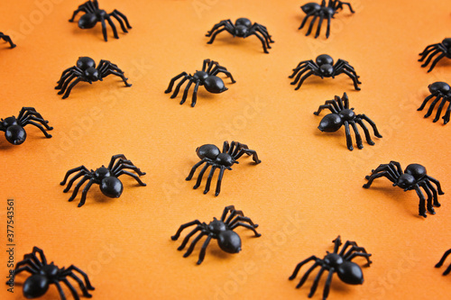Halloween decorations concept. Halloween with spiders on orange red background