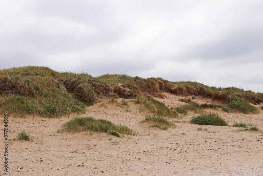 Sand dunes covered in dense vegetation or grass on the Crosby Beach in Mersey near Liverpool UK Sand dunes covered in dense vegetation or grass on the Crosby Beach in Mersey near Liverpool UK
