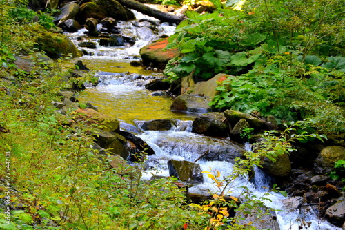 River in Fereastra Sambetei, Carpathian Mountains, Transylvania photo