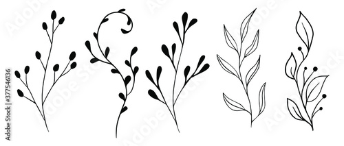 Vector branches and leaves. Hand drawn floral elements. Vintage botanical illustrations.Floral branch with berry. 