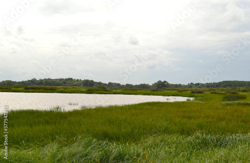 Beautiful autumn landscape with river and meadow in grey day before the rain. Northern Europe. Horizontal view  