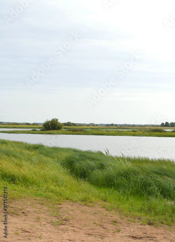 Beautiful autumn landscape with river and meadow in grey day before the rain. Northern Europe . Vertical view 