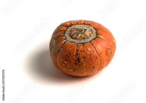 Fresh orange pumpkin isolated on a white background. Small decorative pumpkin. photo