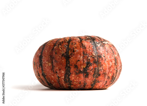 Fresh orange pumpkin isolated on a white background. Small decorative pumpkin. photo