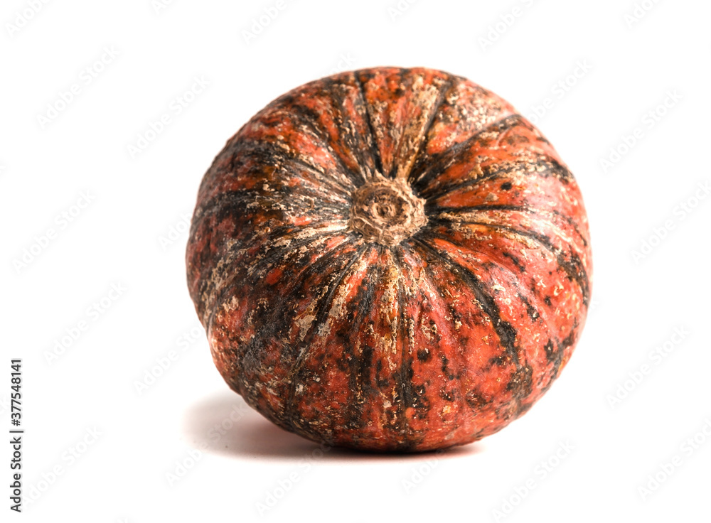 Fresh orange pumpkin isolated on a white background. Small decorative pumpkin. Fresh orange pumpkin isolated on a white background. Small decorative pumpkin.