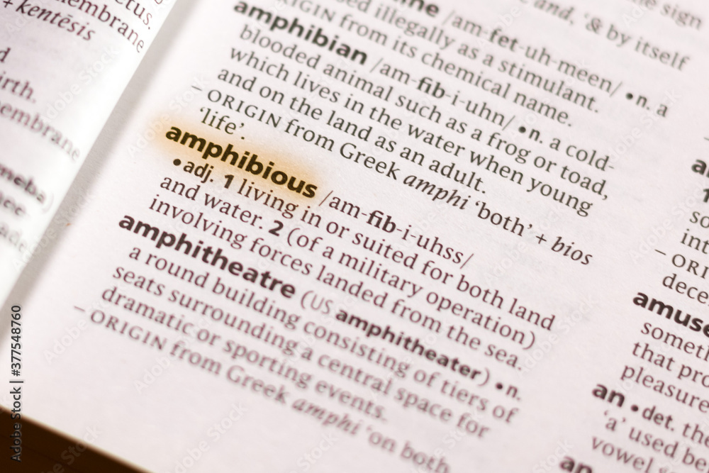 Ivanovsk, Russia - November 19, 2018: The word or phrase Amphibious in a dictionary. Ivanovsk, Russia - November 19, 2018: The word or phrase Amphibious in a dictionary.