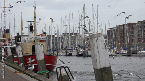 The Hague (Netherlands) - Town center