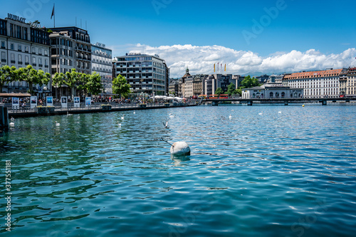 Lac Leman - Geneva /Swiss photo