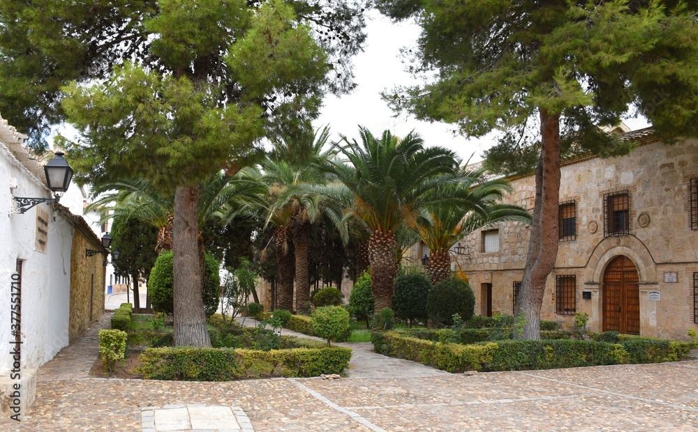 Juan Carlos I Park with pines and palm trees, on the right the convent of the Poor Clare nuns.